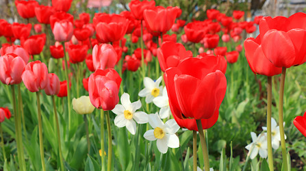 Similar image 21717648