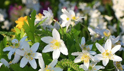 Similar image 21717650