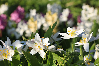 Similar image 21717651