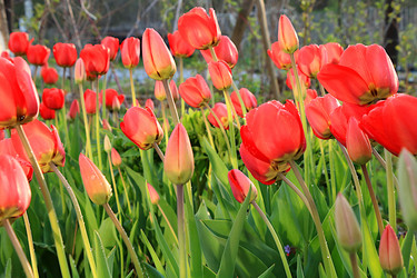 Similar image 21717652