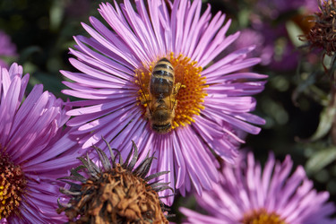 Similar image 21718188