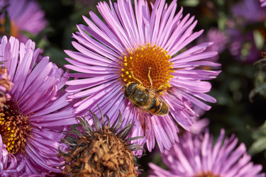 Similar image 21718190