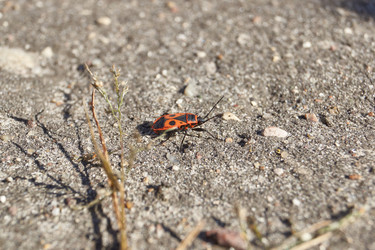 Similar image 21718191