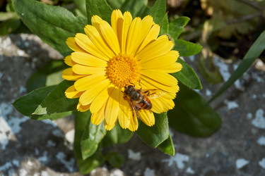 Similar image 21718194