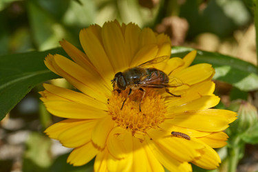 Similar image 21718195