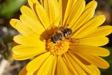 Similar image 21718196