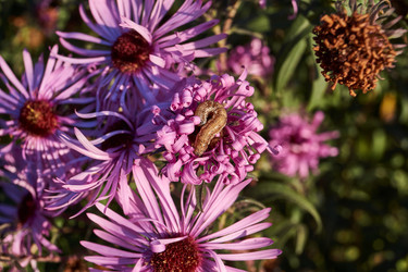 Similar image 21718199