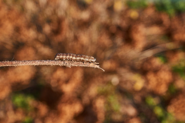 Similar image 21718200