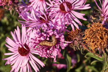 Similar image 21718201