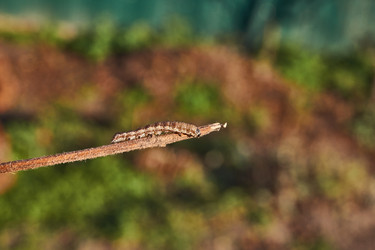 Similar image 21718202