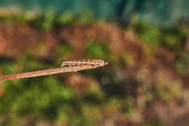 Similar image 21718203