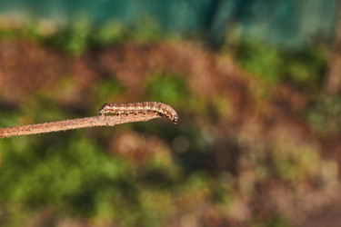 Similar image 21718204