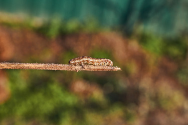 Similar image 21718206