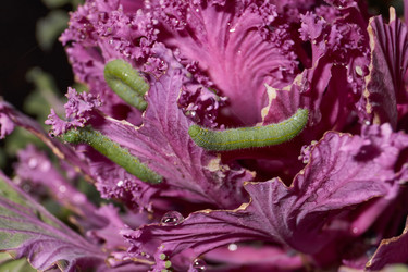 Similar image 21718208