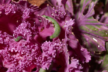 Similar image 21718209