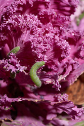 Similar image 21718210