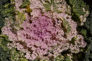 Similar image 21718212