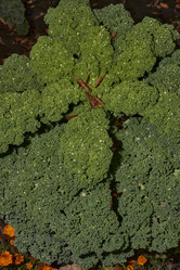 Similar image 21718213