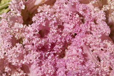 Similar image 21718214