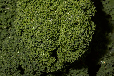 Similar image 21718215