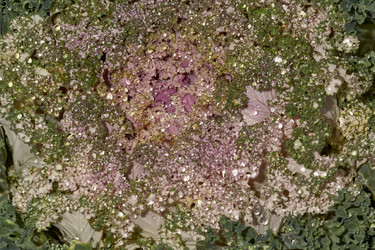 Similar image 21718216