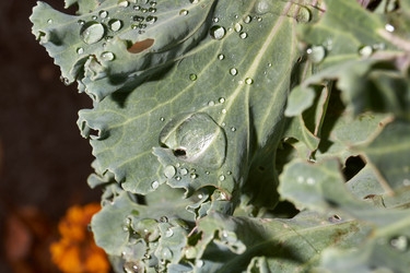 Similar image 21718217