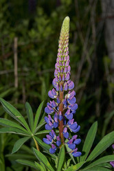 Similar image 21718220