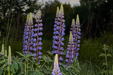 Similar image 21718221