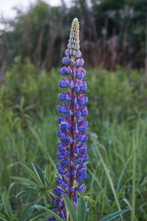 Similar image 21718224