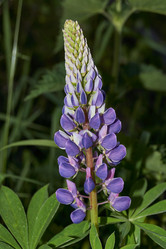 Similar image 21718225