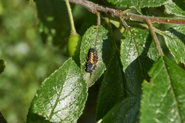 Similar image 21718228