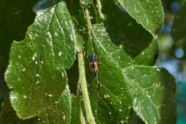 Similar image 21718229