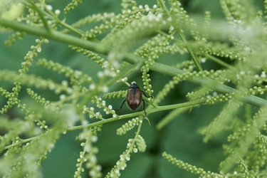 Similar image 21718230