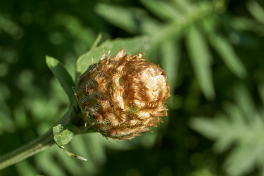 Similar image 21718231