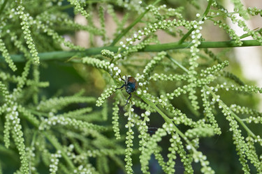 Similar image 21718233