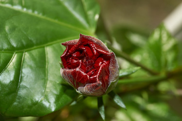 Similar image 21718236