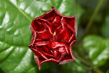 Similar image 21718237