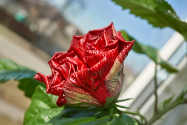 Similar image 21718238