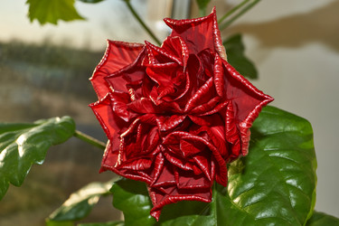 Similar image 21718239