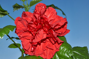 Similar image 21718240