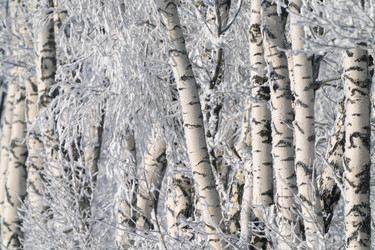 Similar image 21718246