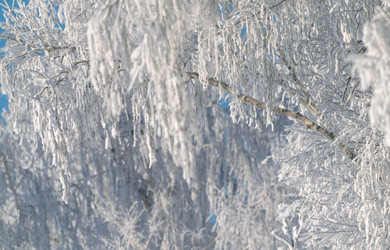 Similar image 21718247