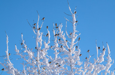 Similar image 21718249