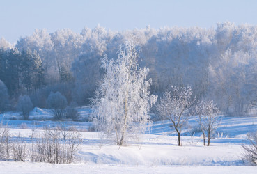 Similar image 21718251