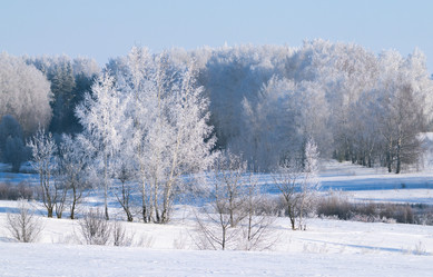 Similar image 21718252