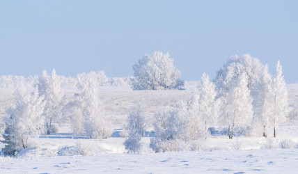 Similar image 21718253