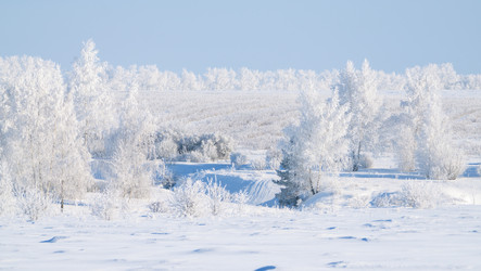 Similar image 21718254