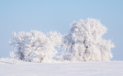 Similar image 21718257