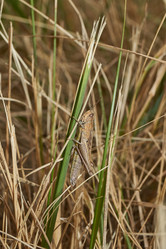 Similar image 21718262