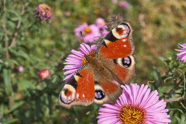 Similar image 21718263